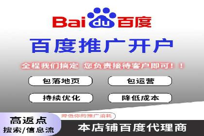 案例分享：百度竞价广告投放策略与效果